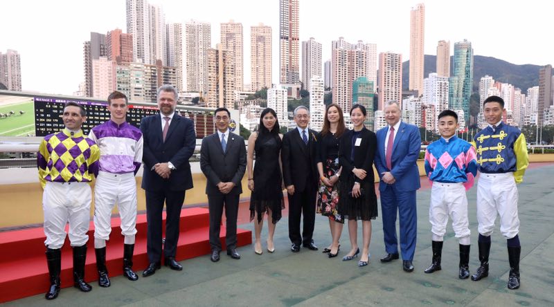 探索香港马会正版资料大全2019，赛马的智慧与乐趣香港正版马会免费资料大全