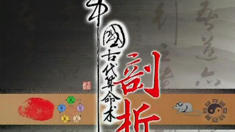 管家婆一码预测，揭秘四柱命理的奥秘