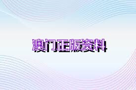 澳门资讯新纪元，204年正版资料免费下载指南正版资料免费大全
