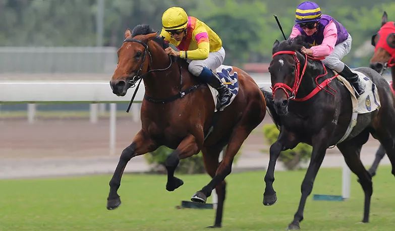 探索香港马会网站，一站式赛马的精彩世界香港免费公开资料大全