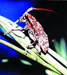 创意设计