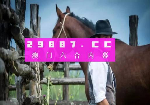2036澳门全年资料免费大全，全面解析与使用指南2023澳门全年资料免费大全246
