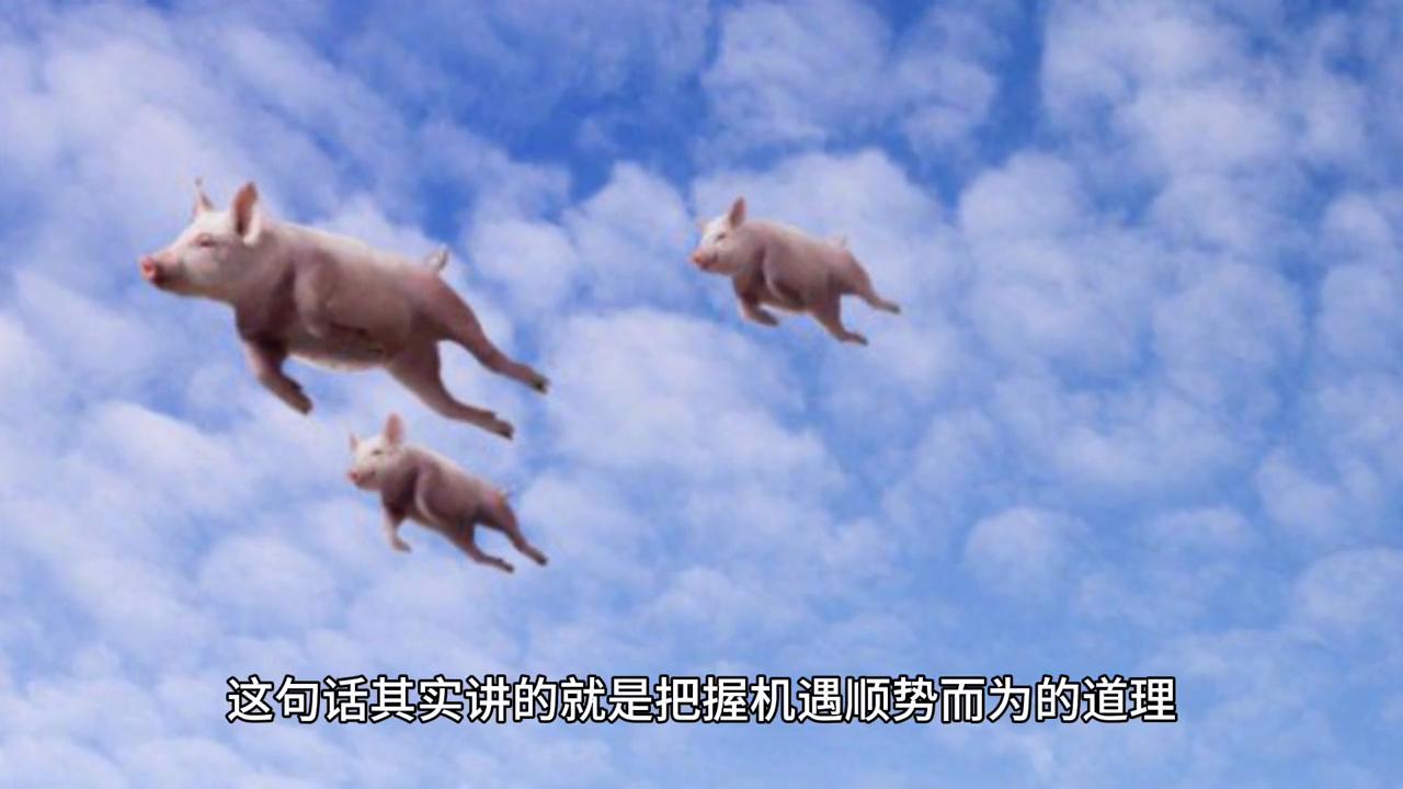 香港历史开奖结果的文化透视