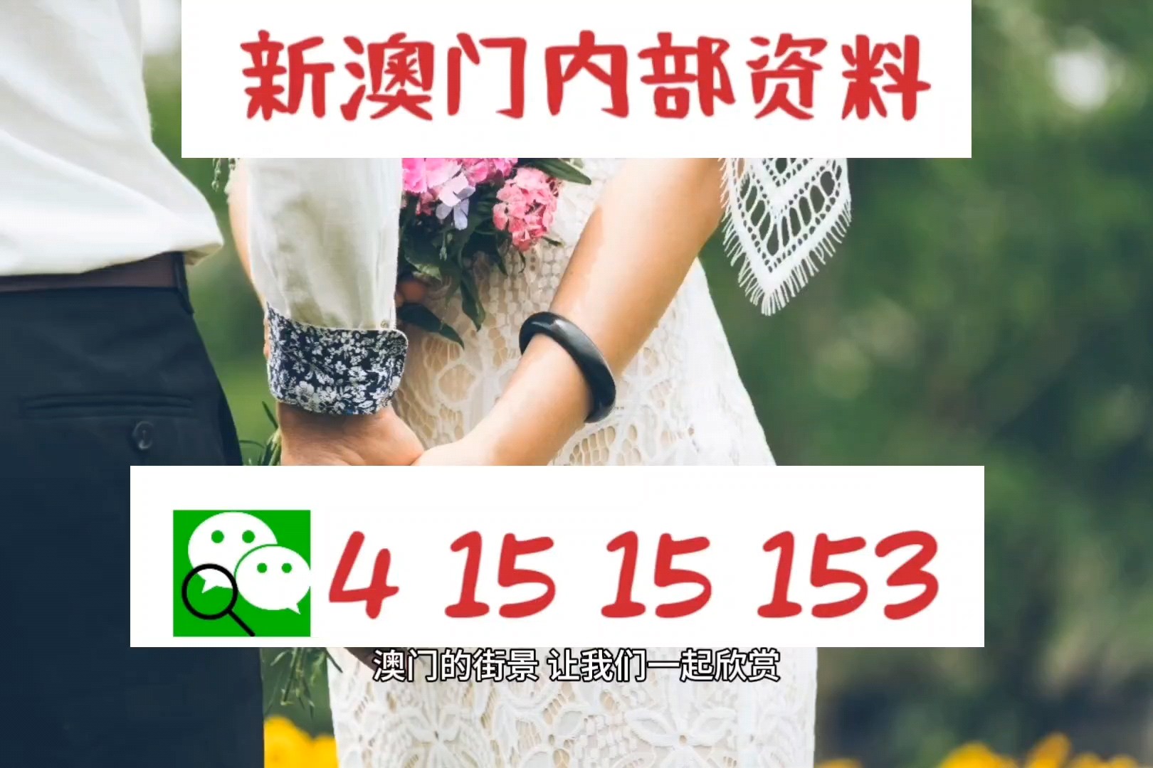 澳门宝典资料2035