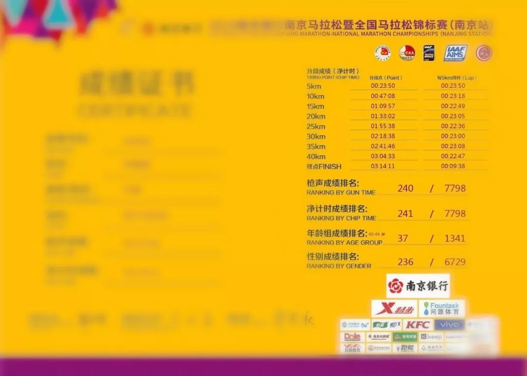 回顾与展望