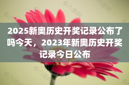 2049年新奥历史开奖记录，回望与展望2024新奥历史开奖记录28期3D