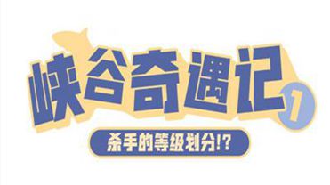 澳门一肖必中，今晚揭晓的幸运之谜，理性与娱乐并存的投注艺术？还是盲目追逐的无尽深渊?澳门一肖一码必中一肖今晚(全网实时顶尖预测)