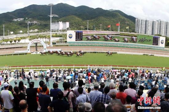 探索香港正马会资料，历史、功能与影响