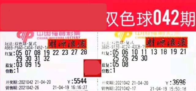 新彩资料