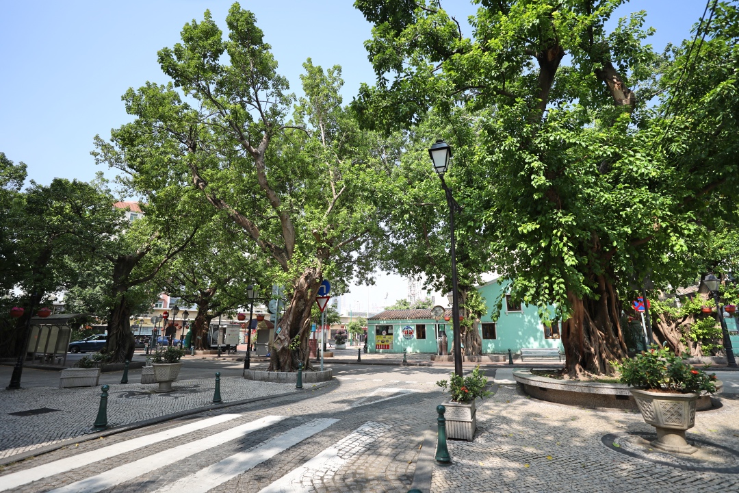 澳门最快最精准资料大全，揭秘赌场风云与旅游攻略澳门最快最精准资料大全大