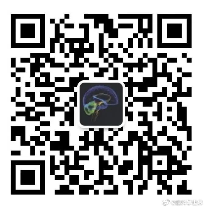 澳门今晚开码资料，免费获取的真相与风险2021年澳门今晚开码咨询