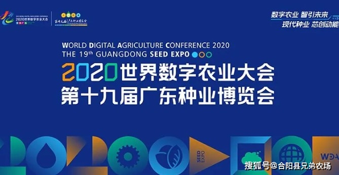 乐彩网17503原创专业电脑版，重塑数字彩票体验的革新力量乐彩网17500原创专业电脑版楷贵阳地图