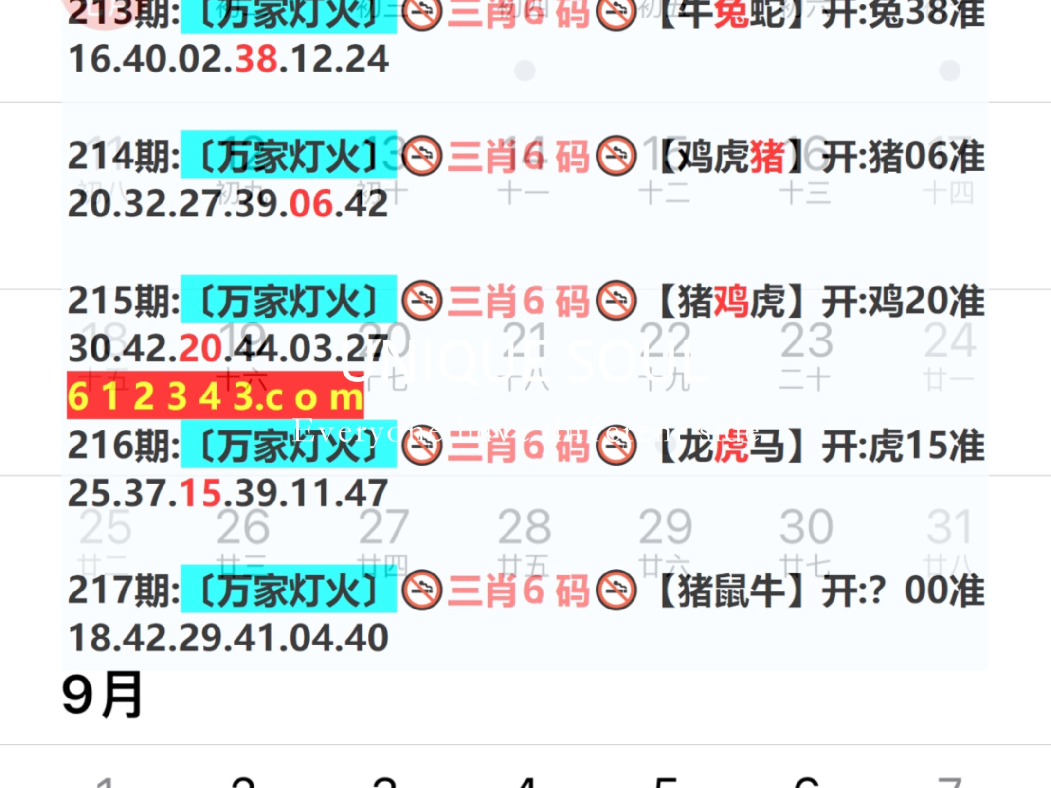 蓝月亮四肖八码精选资料，揭秘数字游戏中的智慧与策略蓝月亮四肖八码精选资料的2024年