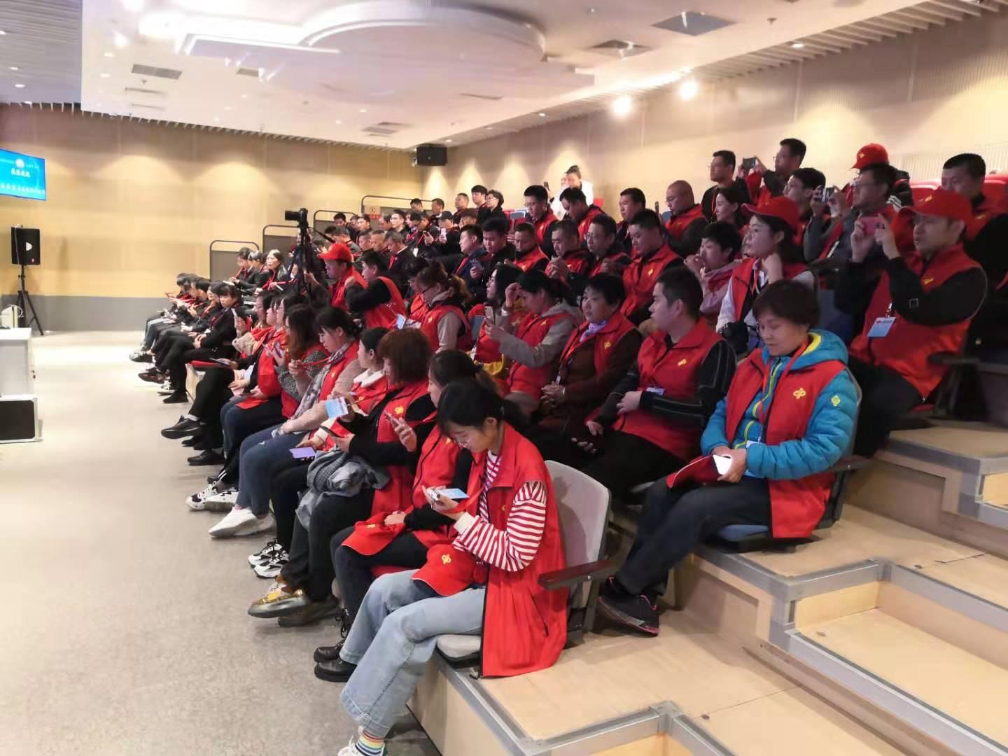 2019年香港开奖记录与结果分析，透视彩民的幸运时刻2019香港开奖记录开奖结果查询