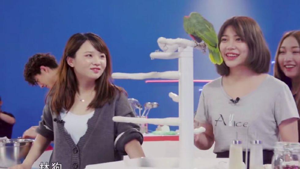 银女娱乐论坛，网络文化的新兴阵地与女性视角的独特魅力银女娱乐论坛不惑至天命