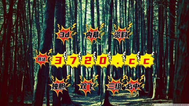 2046澳门六开彩，一场数字与概率的盛宴6开彩开奖结果查询澳门