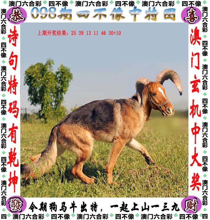 探索629357与四不像图，数字背后的艺术奥秘626969四不像图论坛