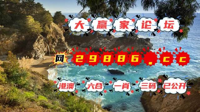 澳门王中王的魅力与免费观看的探索澳门王中王免费观看资料公开