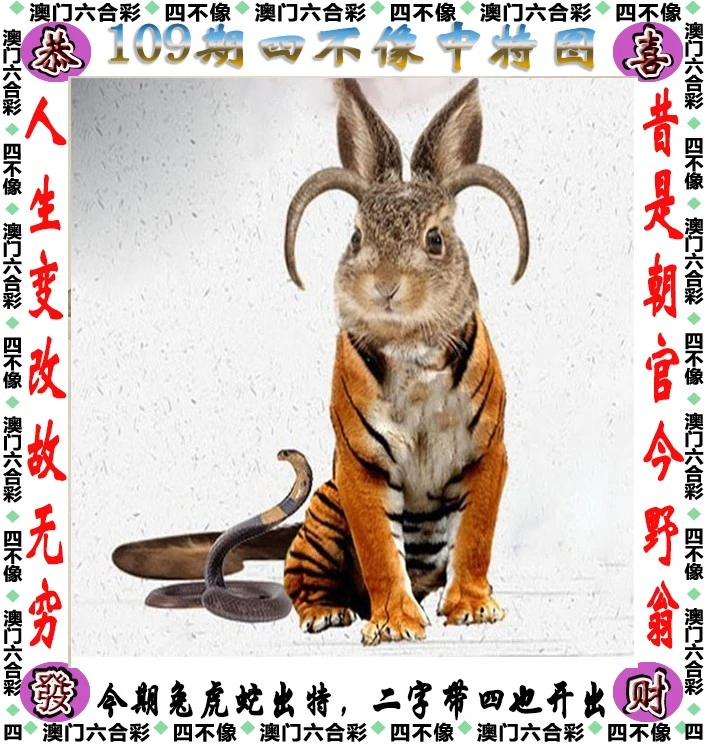 澳门今期特马四不像，独特魅力与文化交融的奇妙体验澳门开奖特马料四不像